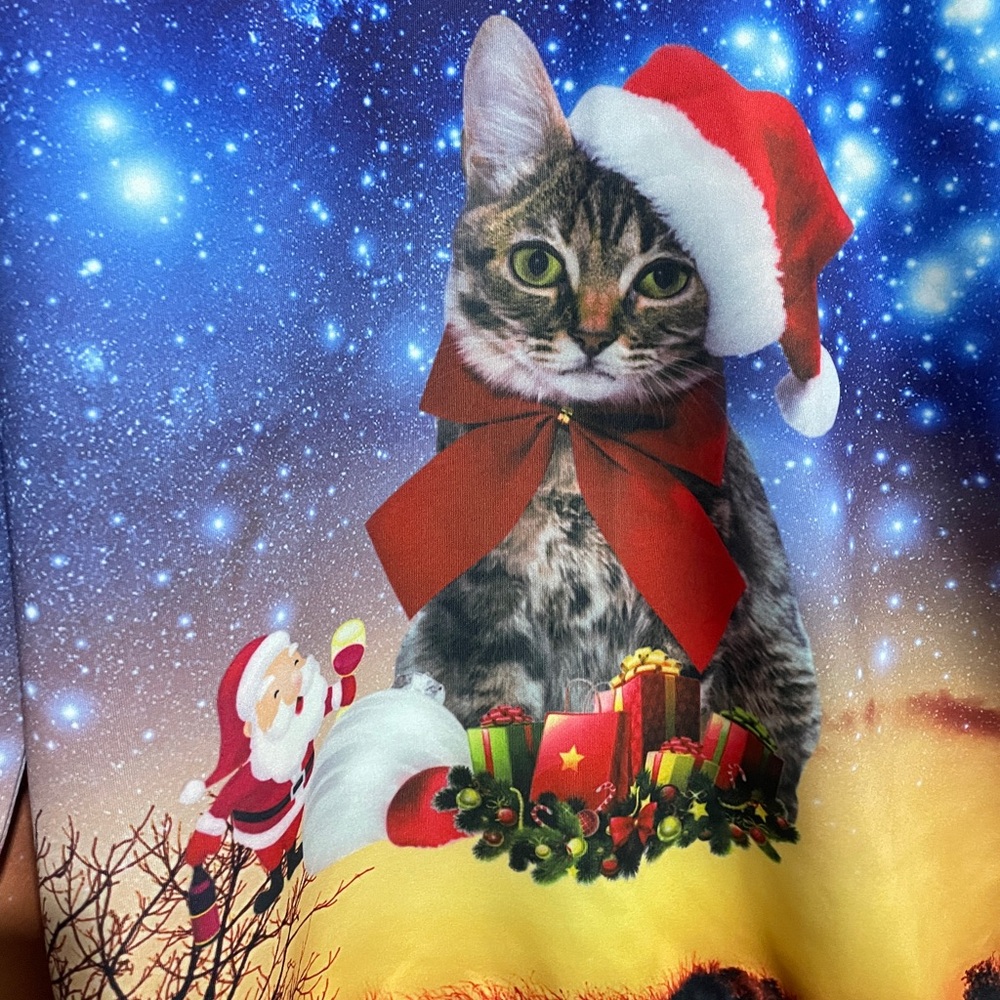 Intergalactic Kitty Santa Christmas Sweater Ugly Sweater Party Winner!